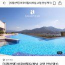 아쿠아데이 이미지