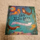 해룡농장 | (공구 마감) 사파리 불빛 그림책
