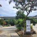 늘푸른공간 | [공지] [서울 근교 애견카페] 강아지 수영장이 무료 남양주 늘푸른초원 휴가 후기