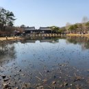 너른마당 이미지