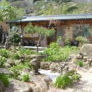 월하초당 이미지