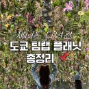 제니플래닛 | 도쿄 팀랩 플래닛 예약 가는법 가격 할인 입장시간 총정리