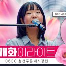 화이라이트