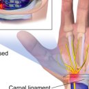대세당한의원 이미지