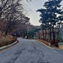 깃대봉_숲길(등산)1코스 이미지