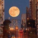 도움행정사사무소 이미지