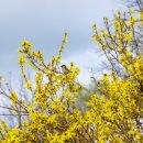 1001안경콘택트(계산점) 이미지