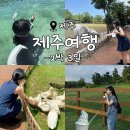 슈퍼마켓 자연숲본점 | 성이시돌목장/경성수산/월령포구/판포포구/퐁당라면/말로/길갈 팜 랜드/세기알 해변/코난해변/도두슈퍼마켓