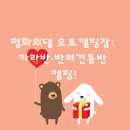 평화의댐 오토캠핑장 | 🏕️평화의댐 오토캠핑장: 카라반·반려견동반 캠핑!