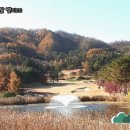 진관-031 | 자연과 함께하는 골프 라운드, 크리스탈 밸리CC 체험 후기