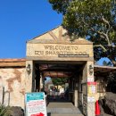 우묵들3공원 | [시즈오카] 이즈 샤보텐 동물공원 카피바라 온천 후기