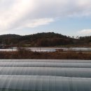 다온농원 이미지