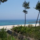 펜션-올 이미지