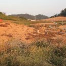 등구농장 이미지