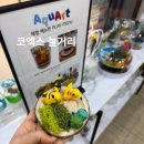 아쿠아트 이미지