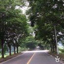 신안컨트리클럽 이미지