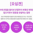 시민의원 이미지