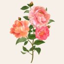 선덕한의원 이미지