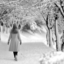 탄천사랑방 이미지