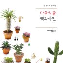 주월1동 행정복지센터 이미지