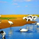 조광농장 이미지