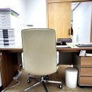 디자인연구소 | 서울사주 인생디자인 연구소 옹달샘 후기, 카페 같은 분위기에서 편하게 상담받다