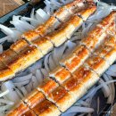 힘찬낙지 이미지