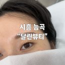 달린뷰티 | 시흥능곡속눈썹펌 | 여행 전 달린뷰티 노글루수분펌 후기👀