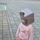 잉글리시에그 | 유아영어교육 집에서도 할 수 있는 영어환경 잉글리시에그 후기