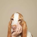 캐릭터 푸드아트 이미지