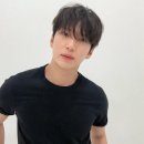 레오 이미지