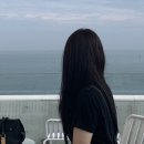 신한계기 | 신한사주운세 후기, 솔직하게 풀어볼게요