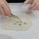 특별한 나만의 레진악세사리 | 레진아트 원데이클래스 후기, 나만의 레진 트레이 만들기 체험