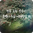 버스정류장 05-290 | 전북 고창 가족 여행 코스로 가볼 만한 명소_선운사(동백나무 숲 개화 소식, 서해랑길 소개 외)