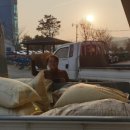 진안군농업기술센터 이미지