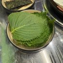 불쭈 | 동탄 남광장 맛집 쭈꾸미 삼겹살 회식 장소 불쭈불닭