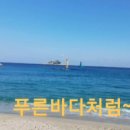 푸른바다 Daum카페