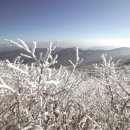 덕유산식품 - 부천시 원미구 | 덕유산식품