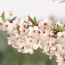 연제구-012 티스토리