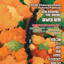 밸리댄스(야간) 이미지