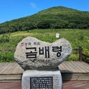 곰배령숲사랑방1 | 강원도 인제 곰배령 예약부터 주차까지｜부모님과 함께 걸은 여름, 천상의 화원