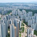 수지 파이낸셜뉴스
