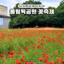 마루의꽃정원 | 올림픽공원 양귀비축제 들꽃마루, 6월 서울 가볼만한곳 꽃구경 실시간 개화