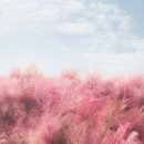 메이스튜디오 - 장흥군 동교2길 6 | 메이스튜디오