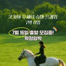 투어동행 이미지
