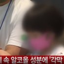 러브키즈&피닉스어학원 이미지