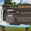 올해 코스모스 꽃밭으로 바뀌었어요&#34; 이번 주가 절정인 5,000평 가을 대표 꽃길 명소 이미지