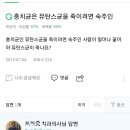 치과 의사가 제안하는 충치 없애는 방법 이미지