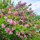 팜파스펜션 이미지