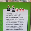 오행쑥뜸라이프 이미지